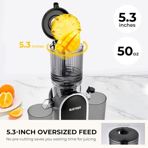 SUSTEAS Cold Press Juicer, 5.3 Inch Large Feed Opening, Slow Masticator Chute, For Whole Vegetables and Fruits, High Yield, Easy to Clean Springtok Steel - Image 2